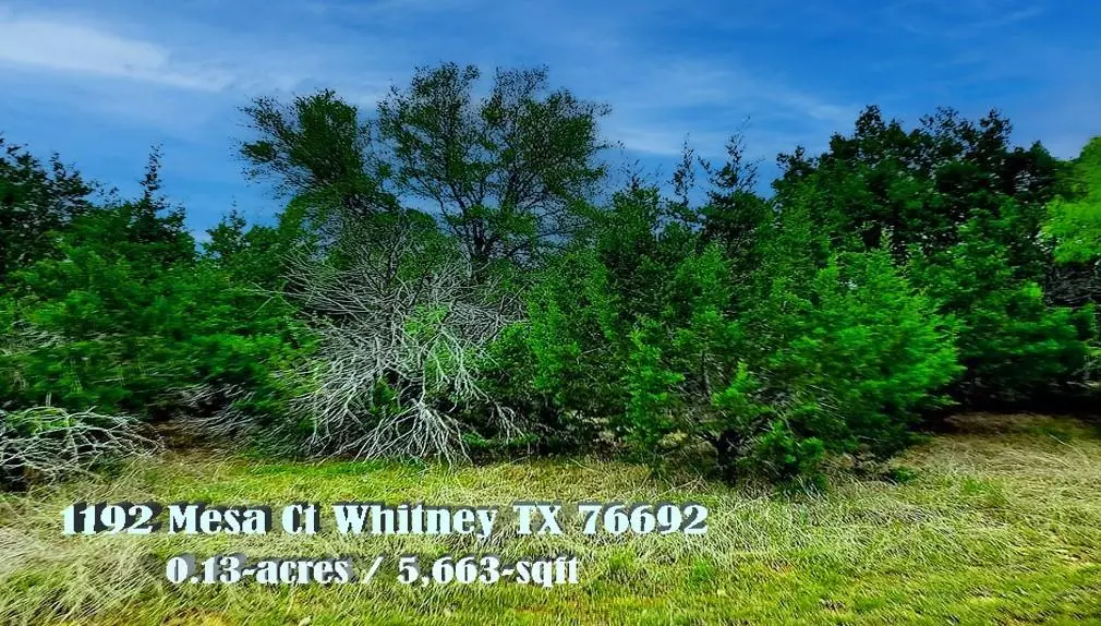 Whitney, TX 76692,1192 Mesa Court