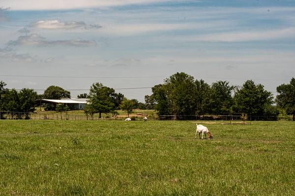 569 vz county Road 2430, Mabank, TX 75147