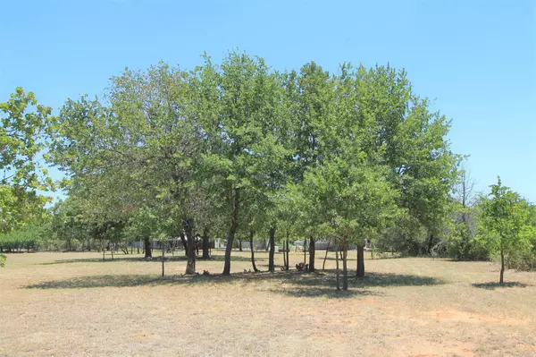 Glen Rose, TX 76043,Lot 8 Cardinal Ln