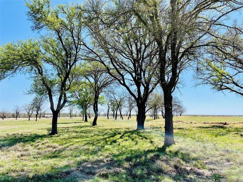 TBD Lot 53 Walker Ln, Santo, TX 76472