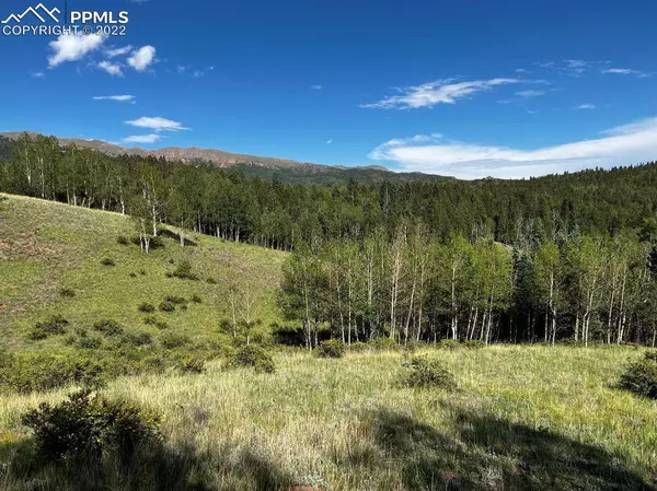 3157 County Road 61 RD, Divide, CO 80814