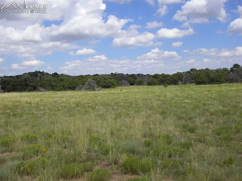 Lot#150 Unknown, Gardner, CO 81040