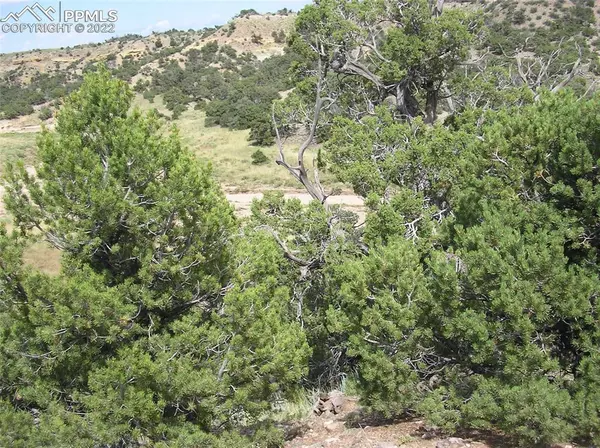 Gardner, CO 81040,Lot#150 Unknown