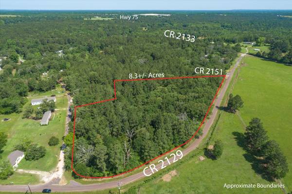 Tract 2 CR 2129,  Palestine,  TX 75801