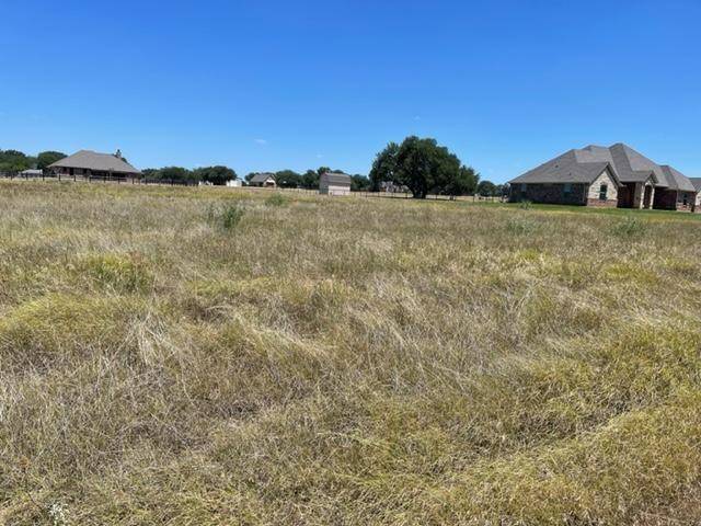 395 Brazos West Drive, Mineral Wells, TX 76067