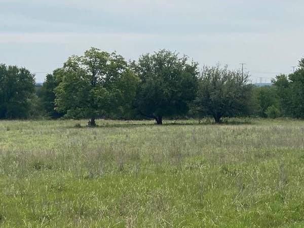 TBD County Road 2480, Hico, TX 76457