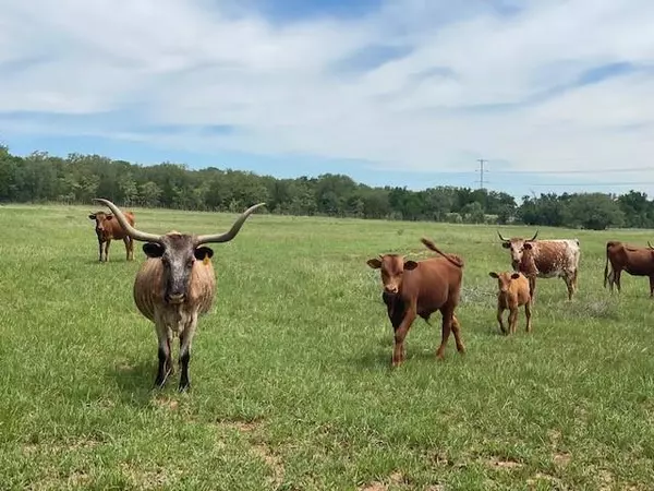 Hico, TX 76457,TBD County Road 2480