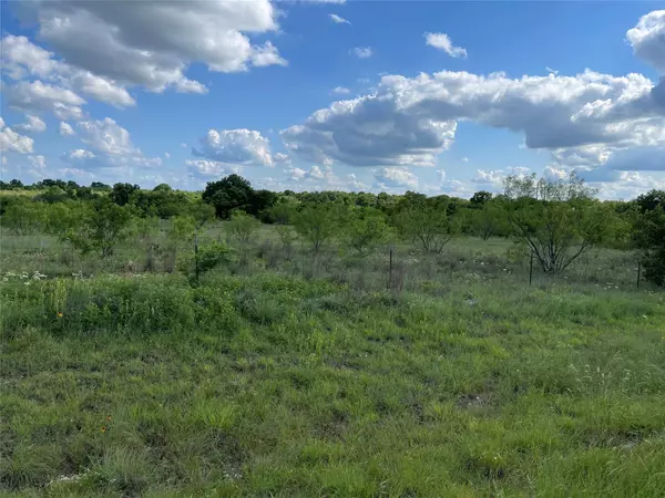 Eastland, TX 76448,HWY 101 East Lot 2