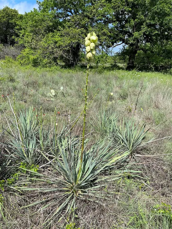 Eastland, TX 76448,HWY 101 East Lot 2