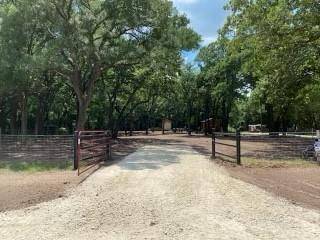 3899 County Road 3111, Purdon, TX 76679