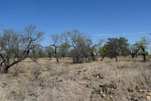 Valera, TX 76884,TBD US Hwy 67 Highway