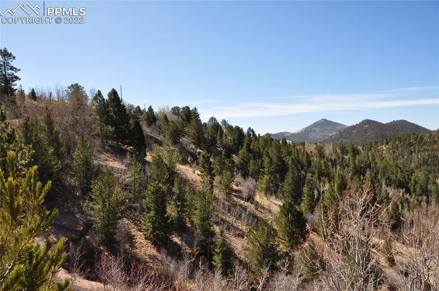 67 Ajax CT, Cripple Creek, CO 80813