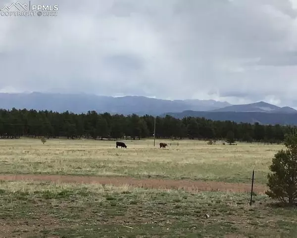 Guffey, CO 80820,1925 Doe Valley RD