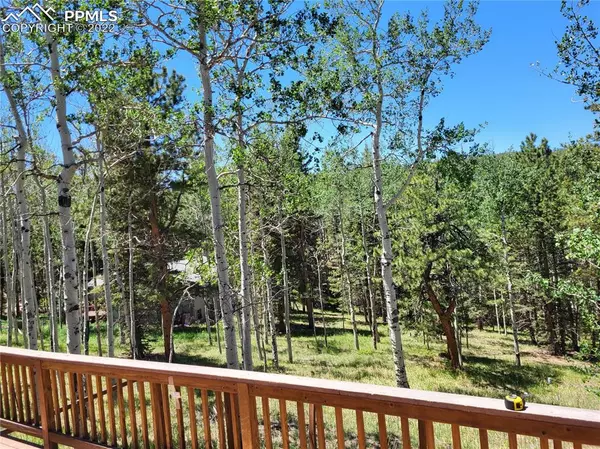 Woodland Park, CO 80863,241 Cornell DR