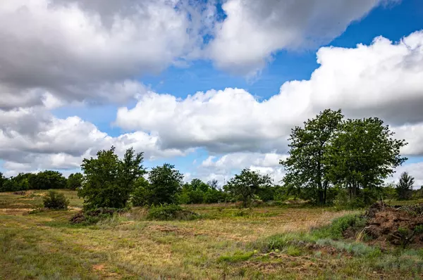 Stephenville, TX 76401,TBD Lot 11 Collier Ranch Road