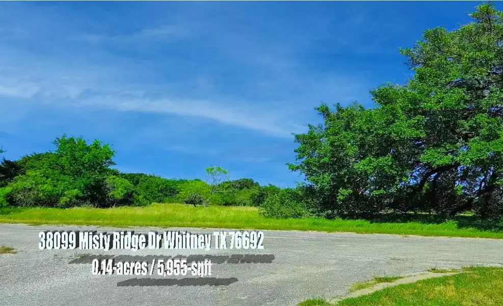 38099 Misty Ridge Drive, Whitney, TX 76692