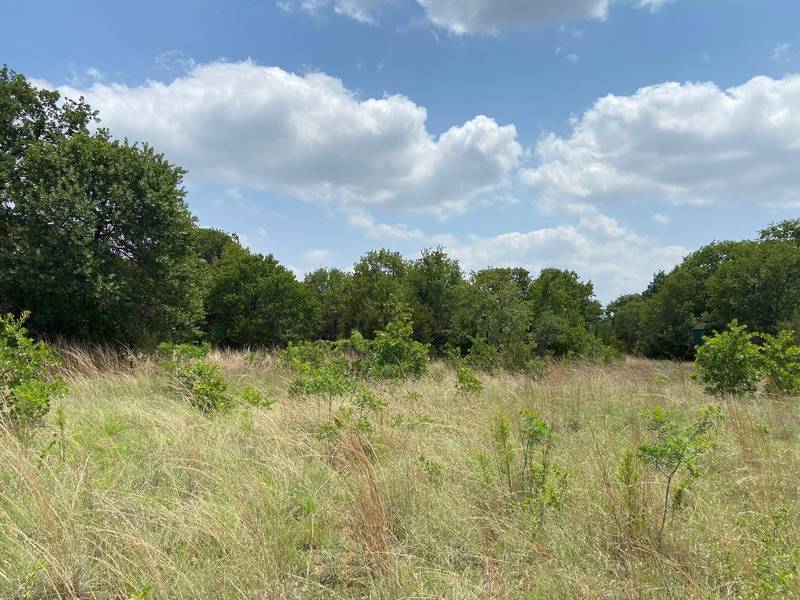 TBD CR 2030, Glen Rose, TX 76043