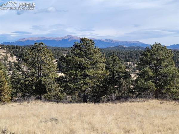 602 Ponderosa DR, Florissant, CO 80816