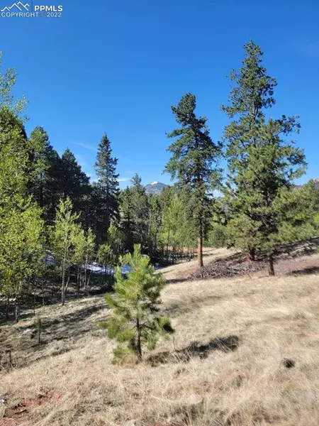 86 E Mariposa CIR, Cripple Creek, CO 80813