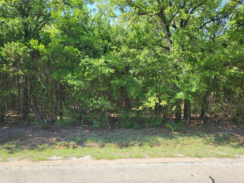 24044 Stonewood Drive, Whitney, TX 76692