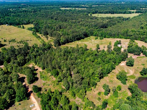 4.5 Ac Poinsettia Road, Gilmer, TX 75644