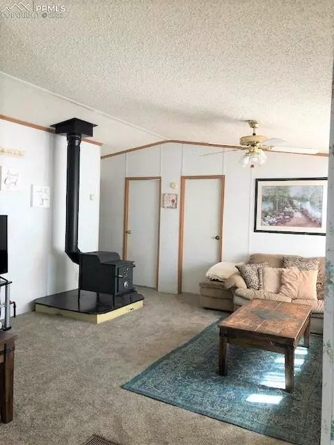 Lake George, CO 80827,75 Cheyenne TRL