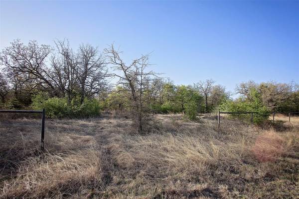 1250 Prickly Pear Trail, Gordon, TX 76453