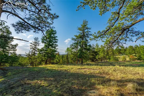 162 Icarus DR, Florissant, CO 80816