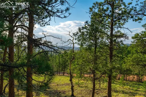 114 Icarus DR, Florissant, CO 80816