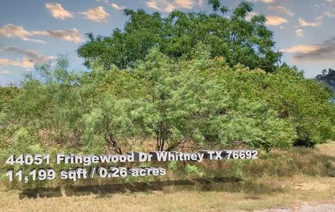 44051 Fringewood Drive, Whitney, TX 76692