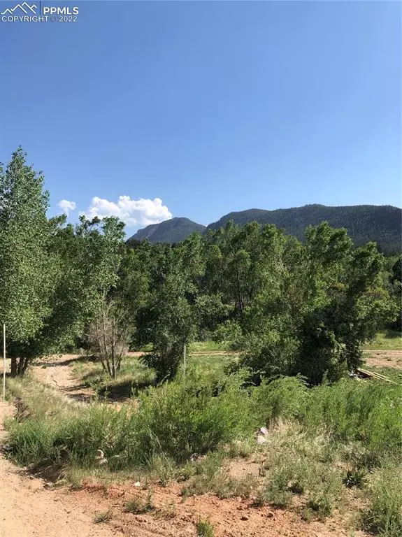 Palmer Lake, CO 80133,33 Mystic LN