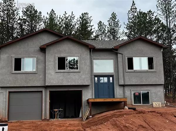 Woodland Park, CO 80863,1378 Ridgestone RD