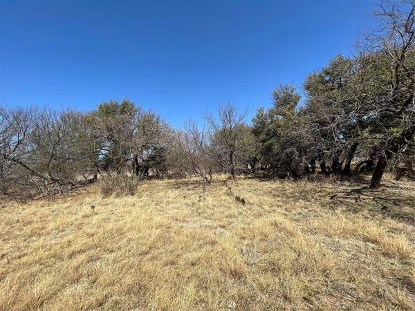 TBD Tract 2 FM 2945, Cisco, TX 76437