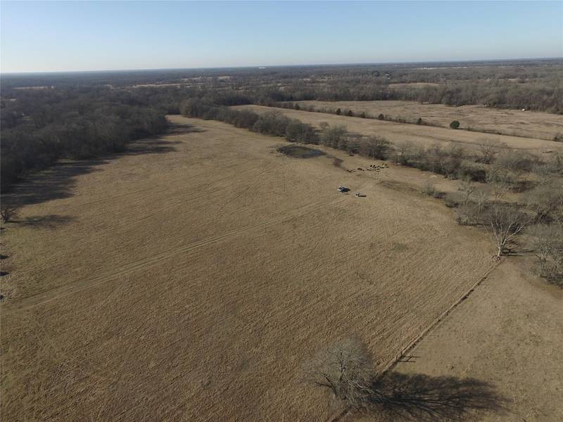 TBD County Road 1131, Cumby, TX 75433