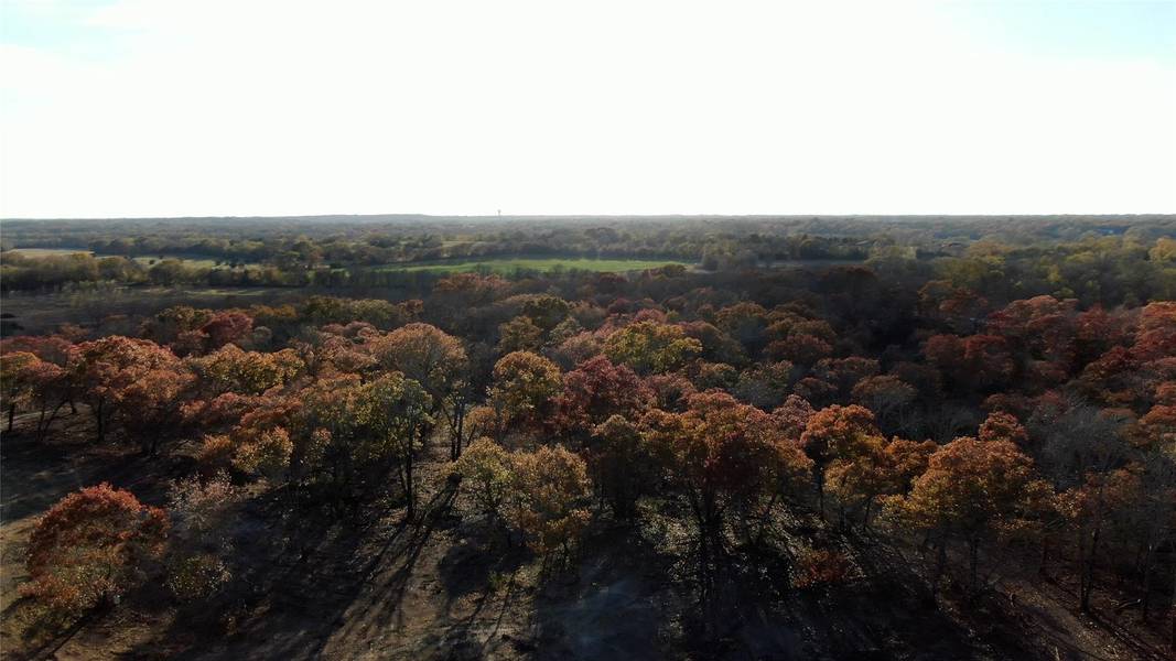 0 Joe Davis LOT 7 Road, Whitewright, TX 75491