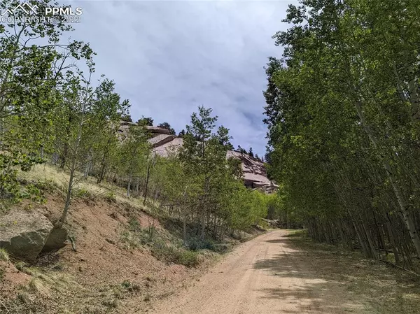 Cripple Creek, CO 80813,577 Buckhorn RD