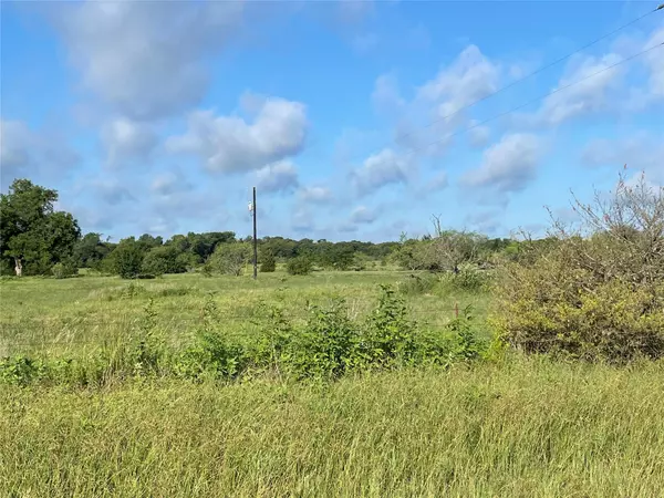 Wills Point, TX 75169,TBD FM 751 Lot 12