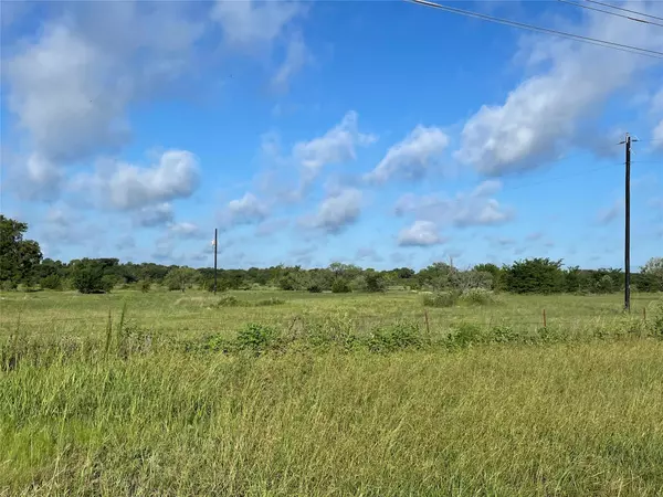 Wills Point, TX 75169,TBD FM 751 Lot 12