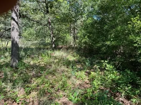 Rockdale, TX 76567,TBD Cypress Trail