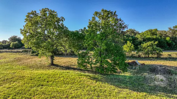 Springtown, TX 76082,Lot 4 Carter Road