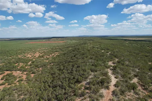 Bronte, TX 76933,322.5+- Ac Nipple Peak Road