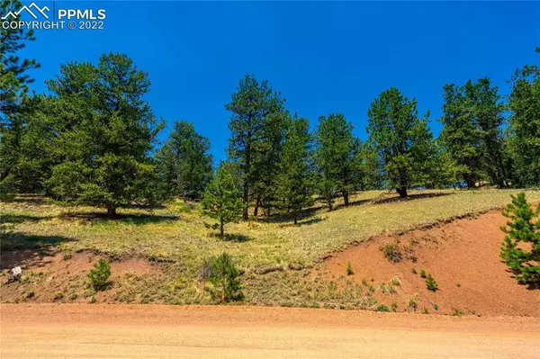 Cripple Creek, CO 80813,1649 Yorktown RD