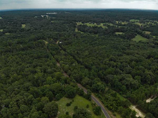 TBD County Road 4536, Winnsboro, TX 75494