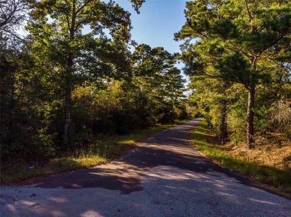 5.29 AC County Rd 4915, Ben Wheeler, TX 75754