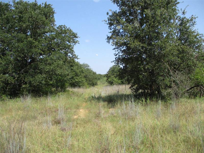 TR 3 FM 1156, Bridgeport, TX 76426