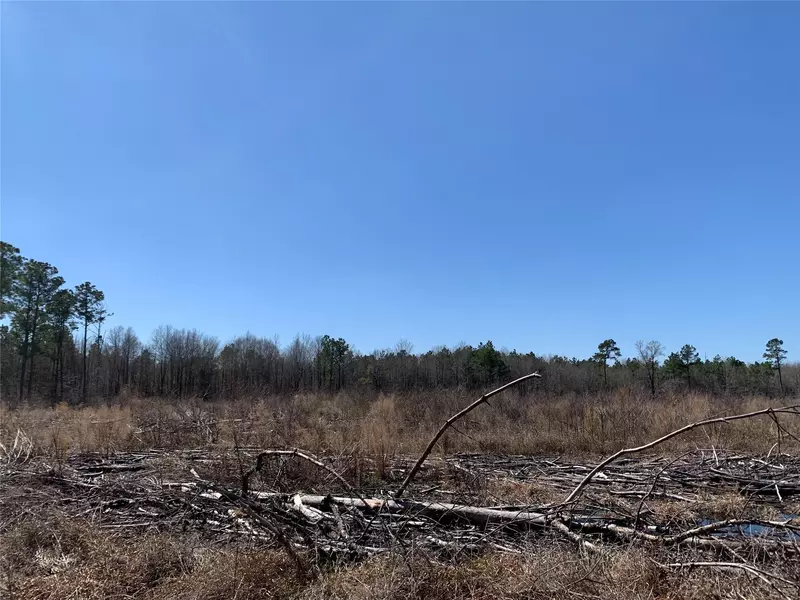 0 Bodcau Dam #3 Road, Benton, LA 71006