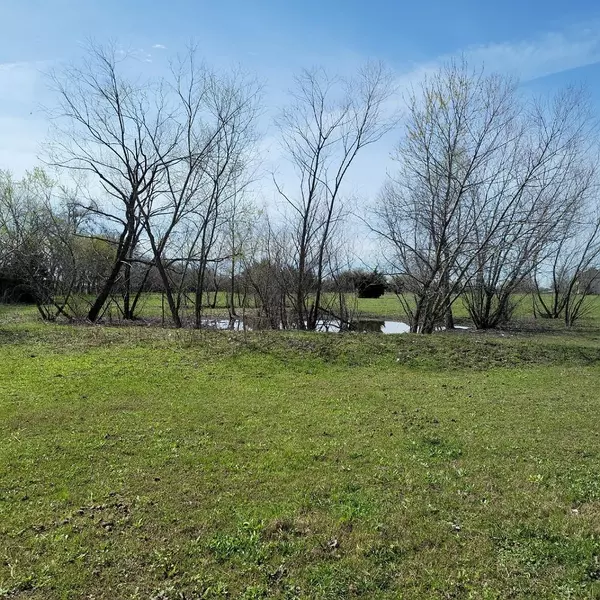 Princeton, TX 75407,Lot 11B County Road 728