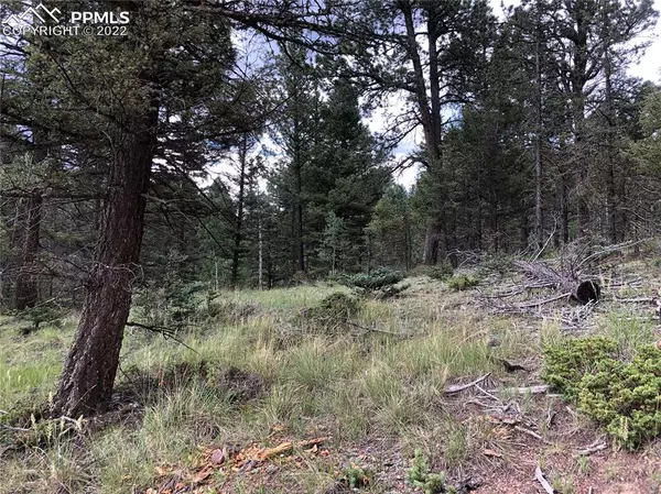 Florissant, CO 80816,64 Handcart CIR