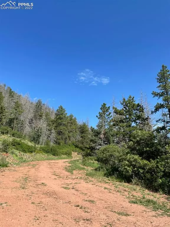 Larkspur, CO 80118,5394 Cheyenne DR