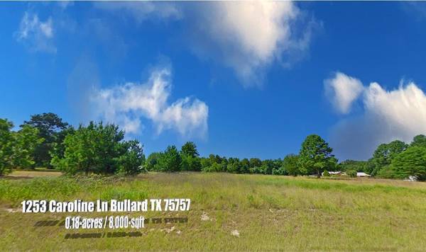 1253 Caroline Lane, Bullard, TX 75757